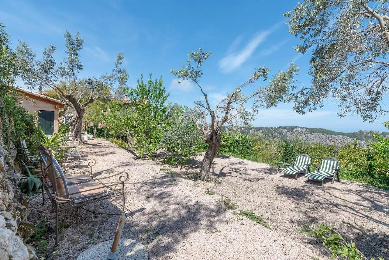Can Julivert Apartment Soller 0*,  Spain